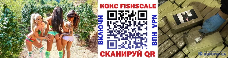 закладка  Невельск  КОКАИН Fish Scale 