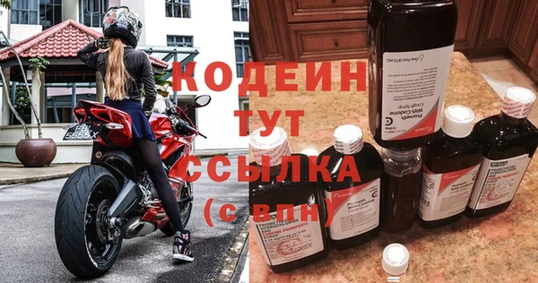 шишки Медвежьегорск