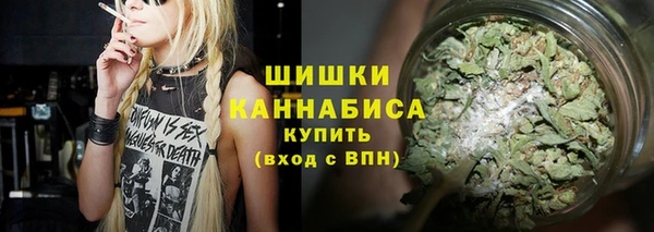 шишки Медвежьегорск