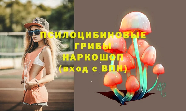 шишки Медвежьегорск
